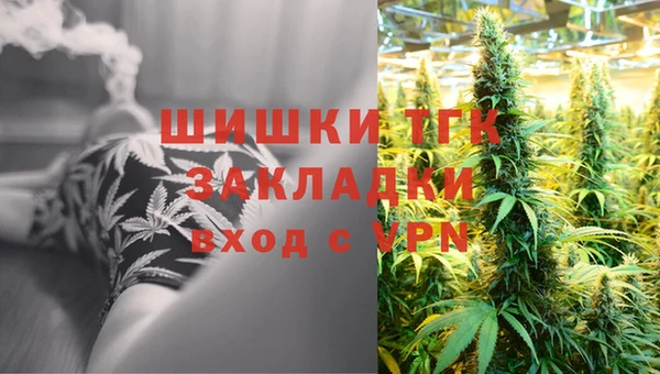 стаф Новокубанск