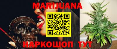 гидропоника Балашиха