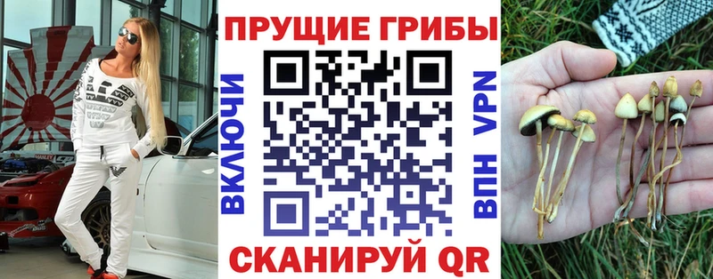 Псилоцибиновые грибы мицелий  наркотики  Краснознаменск 