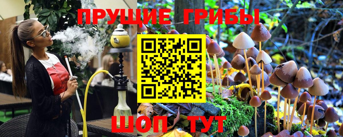 Псилоцибиновые грибы Magic Shrooms  Краснознаменск 
