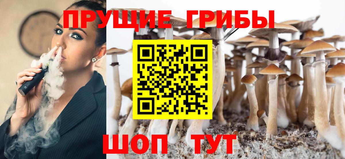 Галлюциногенные грибы Magic Shrooms Краснознаменск
