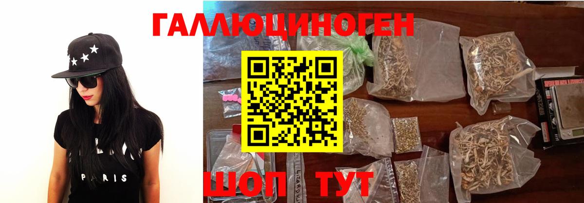 Галлюциногенные грибы Psilocybine cubensis Краснознаменск